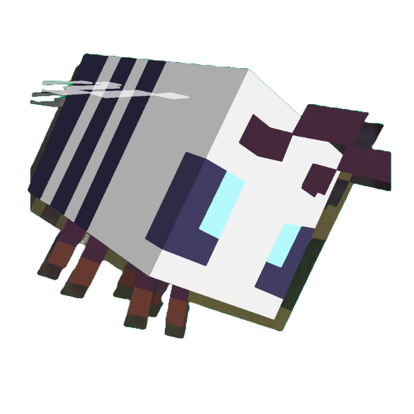 Minecraft person